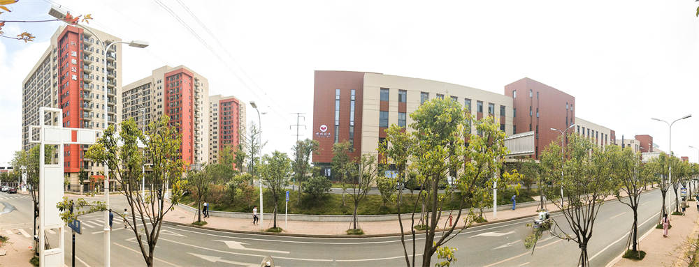 2023�������M�������������е���I(y��)������